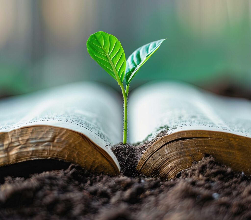 The Centrality of Grace: A Meditation on Being Rooted in the Gospel